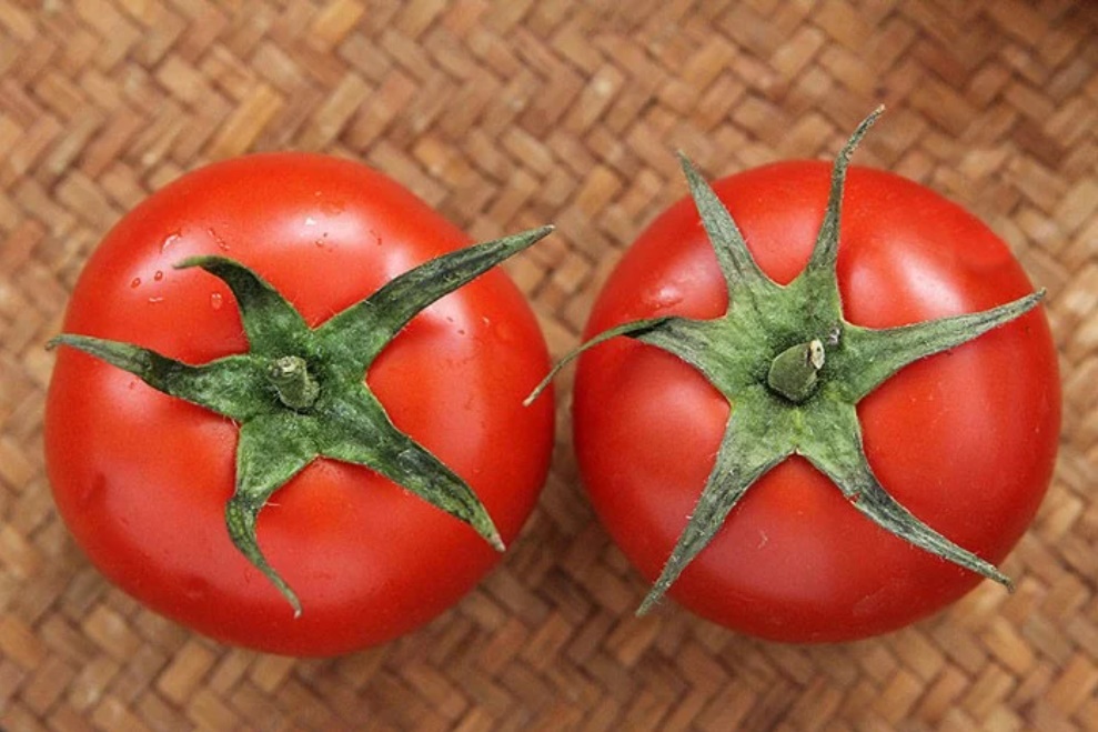 Mua cà chua đừng nắn bóp, nhớ 5 điều này để chọn được quả ngon, chín tự nhiên, không ủ thuốc-1