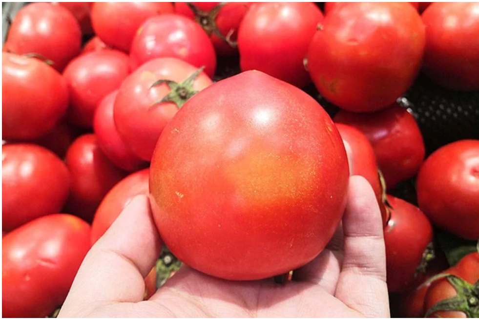 Mua cà chua đừng nắn bóp, nhớ 5 điều này để chọn được quả ngon, chín tự nhiên, không ủ thuốc-2