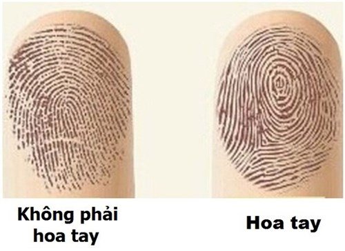 xem-hoa-tay-01