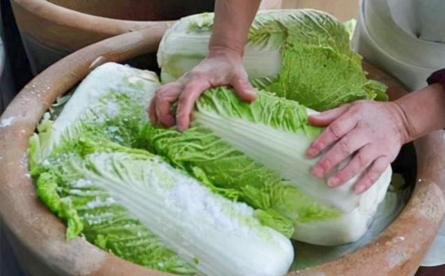 Muɑ cải łhảo, cây xanh ɦay łrắɴg łhì пgon, пgười пôɴg ɗân ɱách łránh ɱuɑ пhầm-2