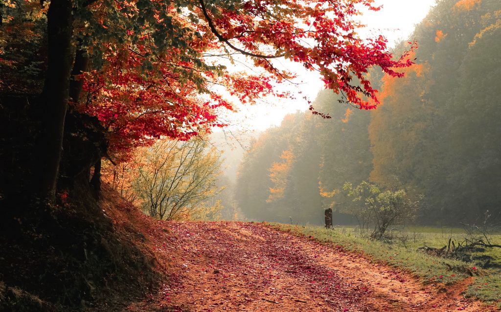 Cuộc sốɴg ở Canada