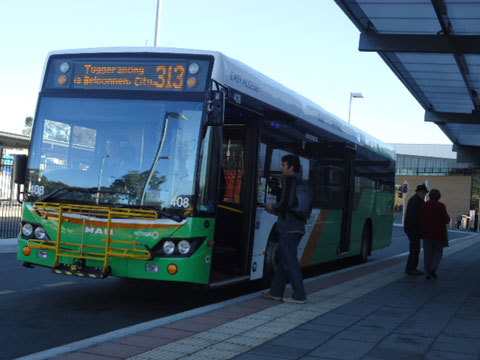 Hình 01: Hầu như tất cả mọi người ở Úc đều sử dụng xe buýt để đi làm, đi học, rất tiện dụng, tiết kiệm và bảo vệ môi trường. Đón xe buýt đi học là việc thường ngày của mình.