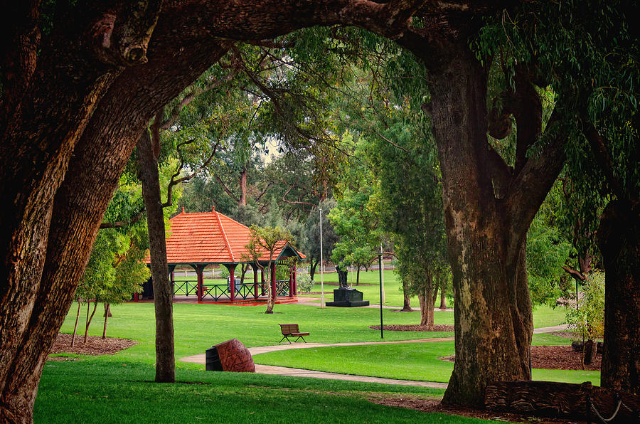 Kết quả hình ảnh cho King Park perth