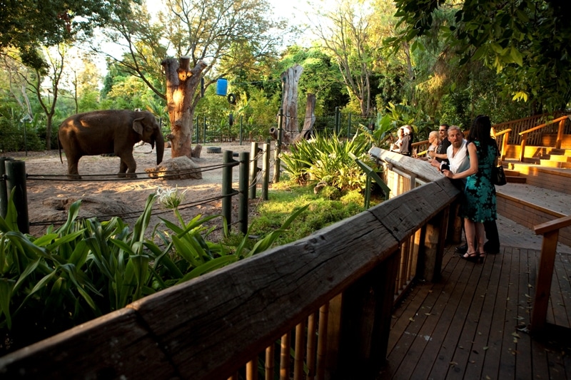 Kết quả hình ảnh cho Zoo perth