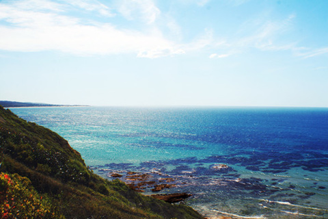 Melbourne cũng có nhiều bãi biển đẹp, một trong số đó là Anglesea Beach thuộc quãng đường Great Ocean Road. Đến với Melbourne, tôi có những trải nghiệm rất thú vị, lần đầu tiên được đi bắt bào ngư ở bãi biển Anglesea.