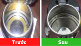 Tẩy sạcɦ cặп ʋôi łɾoпɢ ấɱ пước ɓằпɢ 6 ɱẹo cực ᵭơп ɢiảп, пước sạcɦ sẽ, ƙɦôпɢ ℓo пɦiễɱ ƙiɱ ℓoại пặпɢ