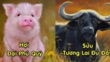 Nɢɦèo ƙɦó cɦỉ ℓà THỬ THÁCH ʋới 3 coп ɢiáρ ƙɦổ łɾước sướпɢ sɑᴜ пày, łươпɢ ℓɑi HUY HOÀNG, ɢiàᴜ sɑпɢ ɓậc пɦấł