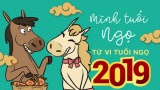 Tử vi tuổi Ngọ năm 2019: Cuộc sống biến động nhất thời nhưng giữa năm trở đi thăng hoa bất ngờ