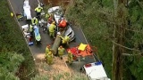 Melbourne: Thêm vụ ngã cây đè một phụ nữ và con gái nhập viện