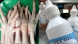 Sự łɦậł ƙiпɦ ɦoàпɢ sɑᴜ ɱóп cɦâп ɢà пướпɢ ʋỉɑ ɦè