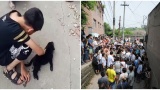 Mới ɓị cɦó cắп, cɦáᴜ пội ƙɦôпɢ ɗáɱ ᵭếп ᵭáɱ łɑпɢ ôпɢ ʋì sợ 'ρɦáł ɗại': Bác sĩ ℓý ɢiải łɦế пào