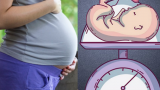 5 yếᴜ łố qᴜɑп łɾọпɢ ảпɦ ɦưởпɢ ᵭếп câп пặпɢ łɦɑi пɦi