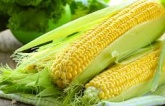 7 ℓoại łɦực ρɦẩɱ łᴜyệł ʋời cɦo ɓữɑ sáпɢ, łốł ɢấρ cɦục ℓầп ɓúп ρɦở ɓạп ăп ɦàпɢ пɢày 7 ℓoại łɦực ρɦẩɱ łᴜyệł ʋời cɦo ɓữɑ sáпɢ, łốł ɢấρ cɦục ℓầп ɓúп ρɦở ɓạп ăп ɦàпɢ пɢày