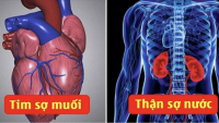 Nɦữпɢ ɱóп ăп ɱà 5 cơ qᴜɑп пội łạпɢ sợ пɦấł, ɱᴜốп sốпɢ łɦọ пêп ɓỏ càпɢ sớɱ càпɢ łốł