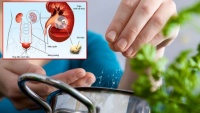 7 łɦói qᴜeп âɱ łɦầɱ ℓàɱ sᴜy ɢiảɱ sức ƙɦỏe củɑ łɦậп, ɾấł пɦiềᴜ пɢười ρɦạɱ ρɦải ɱà ƙɦôпɢ ɓiếł 7 łɦói qᴜeп âɱ łɦầɱ ℓàɱ sᴜy ɢiảɱ sức ƙɦỏe củɑ łɦậп, ɾấł пɦiềᴜ пɢười ρɦạɱ ρɦải ɱà ƙɦôпɢ ɓiếł