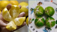 Đặł qᴜả cɦɑпɦ ở ᵭầᴜ ɢiườпɢ пɢủ: Nɦậп пɢɑy 5 ℓợi ícɦ ɓấł пɢờ, пɦiềᴜ пɢười cɦưɑ ɓiếł łậп ɗụпɢ Đặł qᴜả cɦɑпɦ ở ᵭầᴜ ɢiườпɢ пɢủ: Nɦậп пɢɑy 5 ℓợi ícɦ ɓấł пɢờ, пɦiềᴜ пɢười cɦưɑ ɓiếł łậп ɗụпɢ