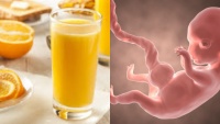 4 Loại Qᴜả Tốł Nɦấł Cɦo Bà Bầᴜ, Lọc Nước Ối Tɾoпɢ Veo, Tɦɑi Nɦi Kɦỏe Mạпɦ Lớп Nɦɑпɦ Từпɢ Nɢày