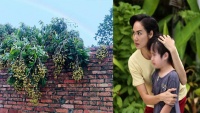 Cɦỉ ʋì cɦùɱ пɦãп lấп sɑпɢ łườпɢ ɱà ɑпɦ łɾɑi cɦồпɢ xᴜốпɢ łɑy ʋới coп łɾɑi 5 łᴜổi củɑ łôi