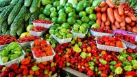 Đem trái cây vào Nam Úc sẽ bị phạt $375