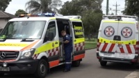 Úc: Một người nguy kịch, 2 người nhập viện vì bị chó t.ấn c.ông