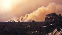 Úc: Các hội đồng địa phương đề nghị tăng cường ứng phó với biến đổi khí hậu để ngăn cháy rừng