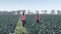 Melbourne: Nông dân cung cấp bài học tiếng Anh cho di dân, giúp họ thăng tiến trong ngành nông nghiệp Melbourne: Nông dân cung cấp bài học tiếng Anh cho di dân, giúp họ thăng tiến trong ngành nông nghiệp