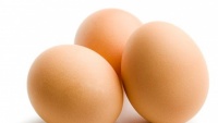 Chuyên gia Úc phát hiện ăn trứng giúp ngăn chặn bệnh thoái hóa điểm vàng