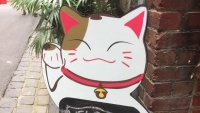 Quán cà phê cho người yêu mèo “độc nhất vô nhị” tại Melbourne
