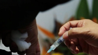 Số ca tử vong do cúm ở Nam Úc đã lên tới 82 người