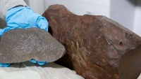 Úc: Giữ khối đá cục vô tri 4 năm, đem cho mới biết là bảo vật 4,6 tỷ năm tuổi