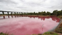 Cảnh báo du khách nên tránh làm việc này khi đến thăm hồ nước hồng ở Melbourne