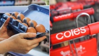 Úc: Coles được ủng hộ nhiệt tình nhờ quyết định bày bán trứng cage free