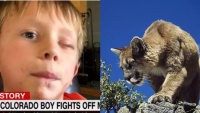 Sống sót sau khi bị báo sư tử tấn công, cậu bé 8 tuổi chia sẻ cách tự vệ cực thông minh