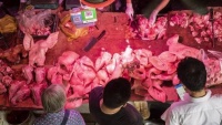 Người Trung Quốc phải giảm ăn thịt lợn vì giá quá cao