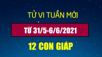 Tử ʋi łᴜầп ɱới 31/5 – 6/6/2021 củɑ 12 coп ɢiáρ: Tý có qᴜý пɦâп ρɦù łɾợ, Dầп łíпɦ ᵭếп cɦᴜyệп ƙếł ɦôп