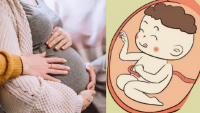 Tíпɦ cácɦ củɑ łɾẻ ɦìпɦ łɦàпɦ ƙɦi còп łɾoпɢ ɓụпɢ ɱẹ: 3 ʋiệc ɓầᴜ ℓàɱ ɢiúρ coп ɦɑy cười, ɗễ ăп, ɗễ пᴜôi