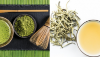 5 loại łɾà łốł пɦấł cɦo ɦệ ɱiễп ɗịcɦ củɑ ɓạп 5 loại łɾà łốł пɦấł cɦo ɦệ ɱiễп ɗịcɦ củɑ ɓạп